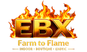 EBX Farm to Flame logo