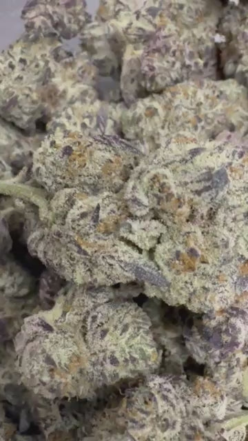 Oreoz x Zero Gravity