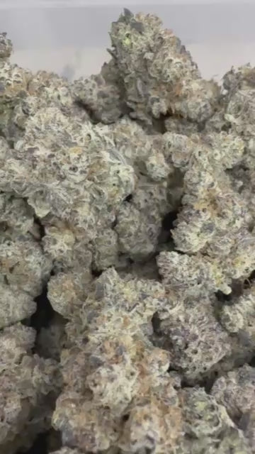 Dantes x Black velvet